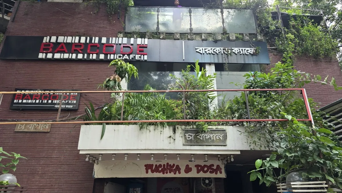 চা বাগান