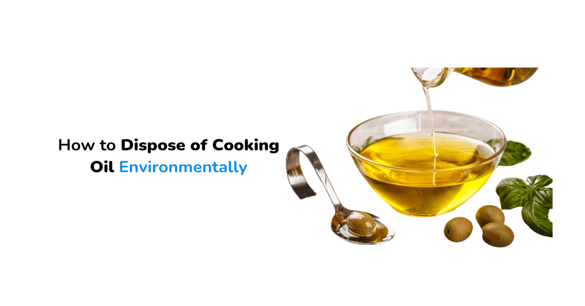 How to Dispose of Cooking Oil Environmentally - MyDrom