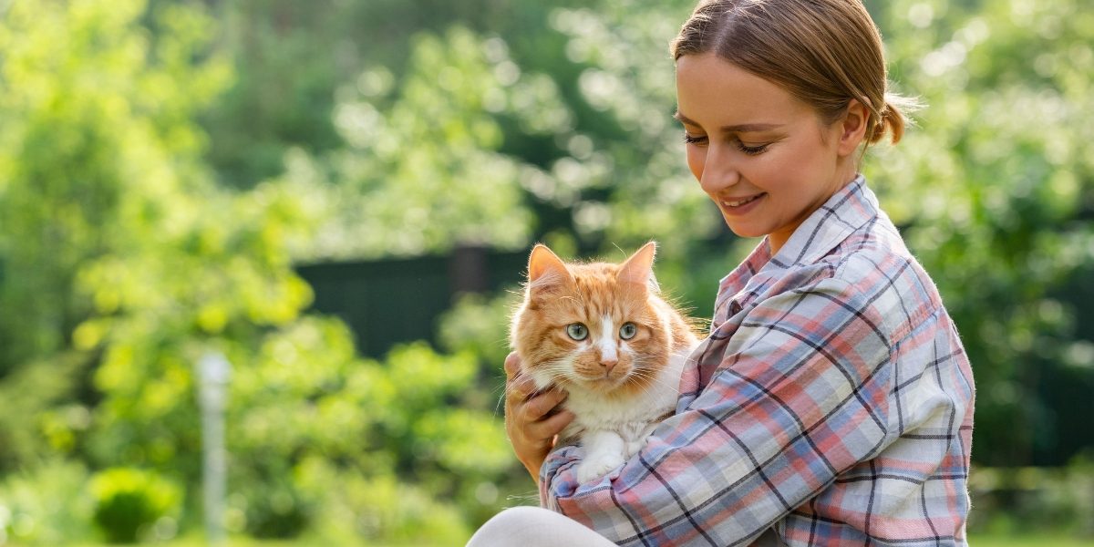 Top 10 Best Cat Breeds: Find Your Purr-fect Companion
