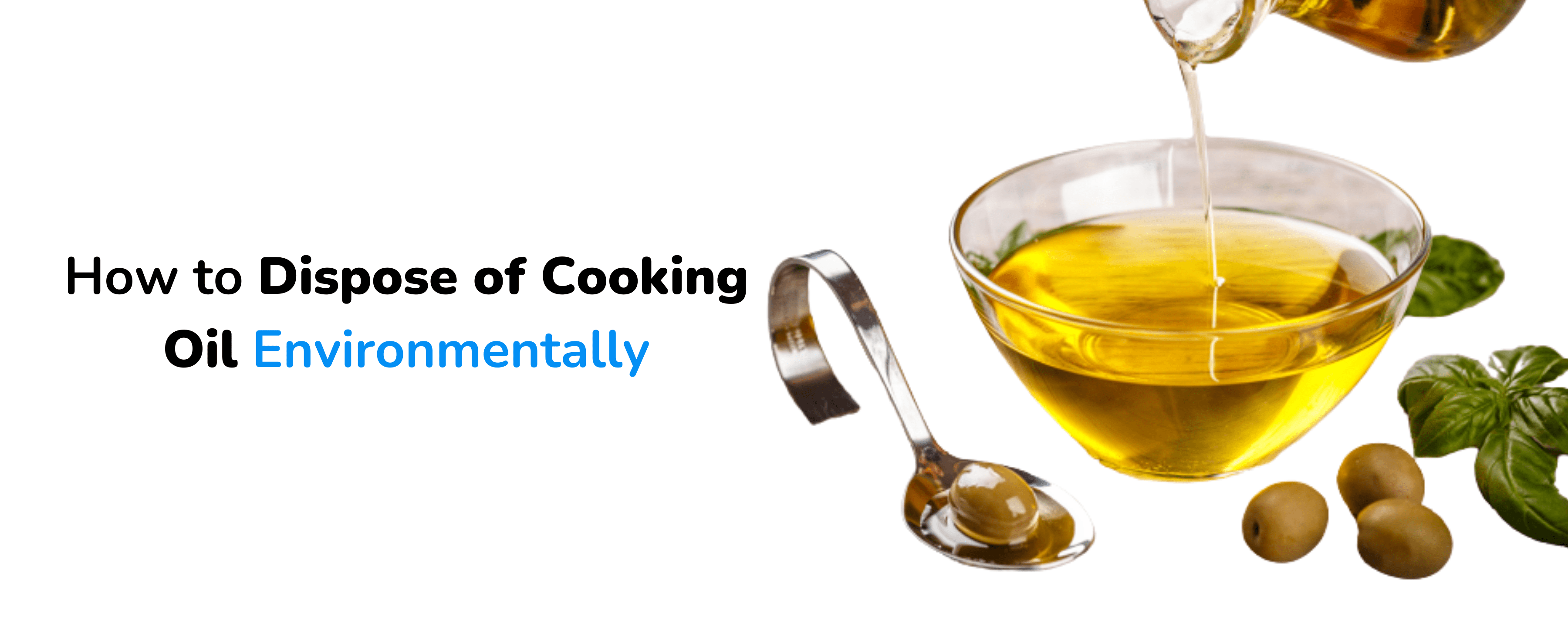 how to dispose of cooking oil environmentally